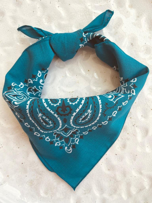Bandana Scarf - Teal